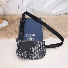 Mens Christian Dior Waist Chest Packs